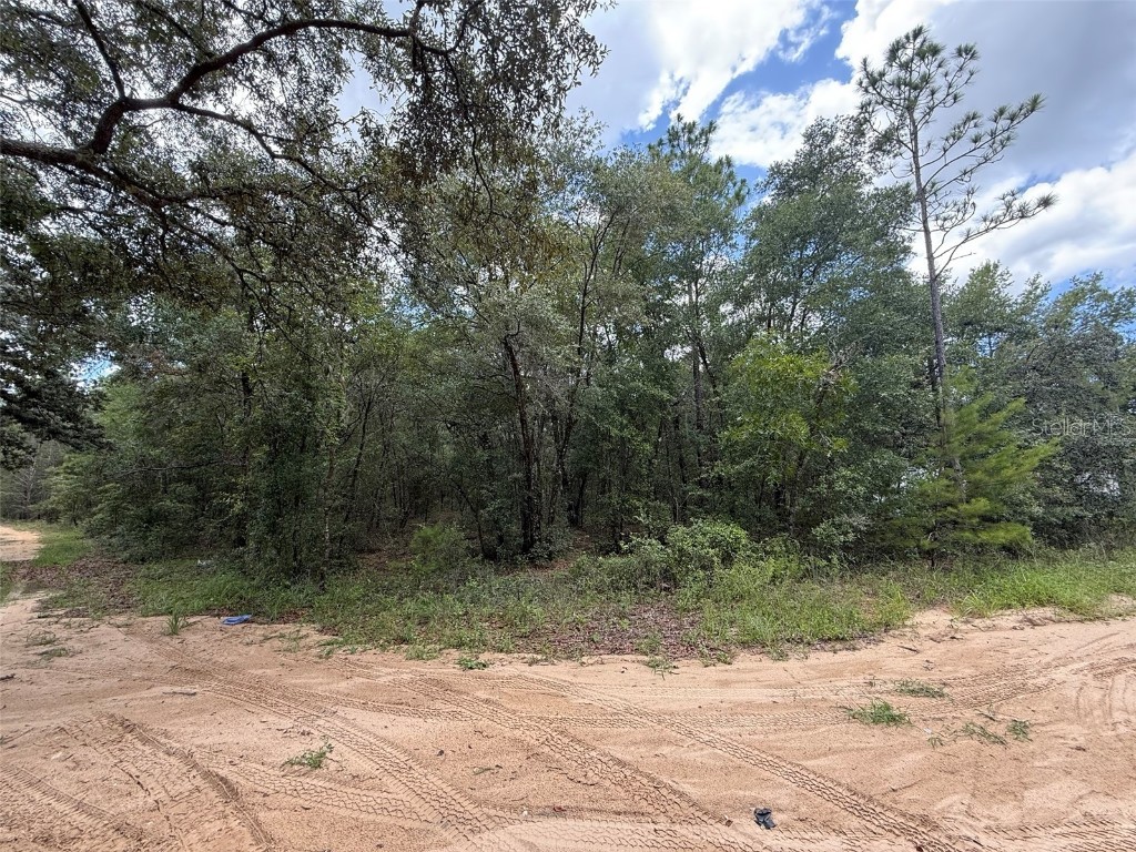 138 SE 8th Ave Interlachen FL 32148 OK225411 image5