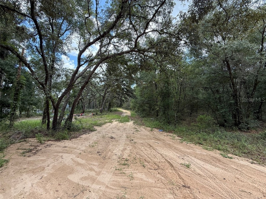 138 SE 8th Ave Interlachen FL 32148 OK225411 image6