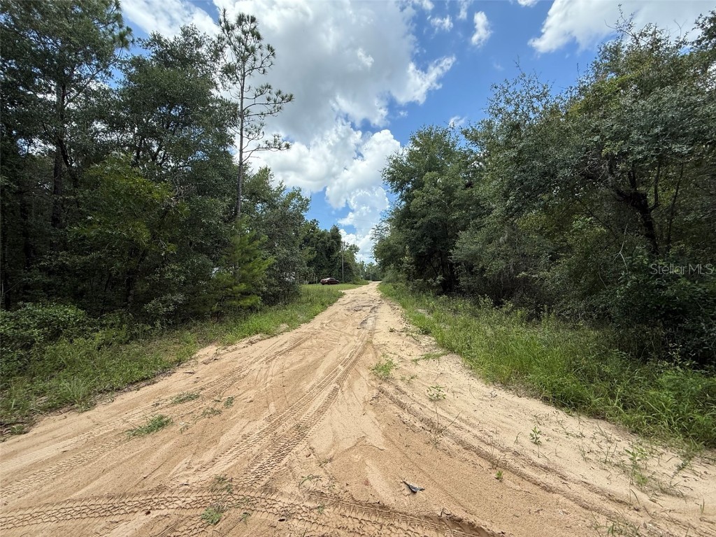 138 SE 8th Ave Interlachen FL 32148 OK225411 image7