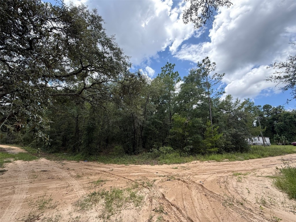 138 SE 8th Ave Interlachen FL 32148 OK225411 image8