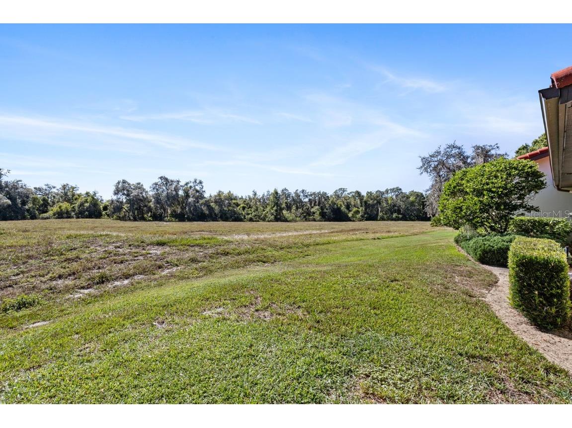 138 Stratford Court Haines City FL 33844 P4936776 image35