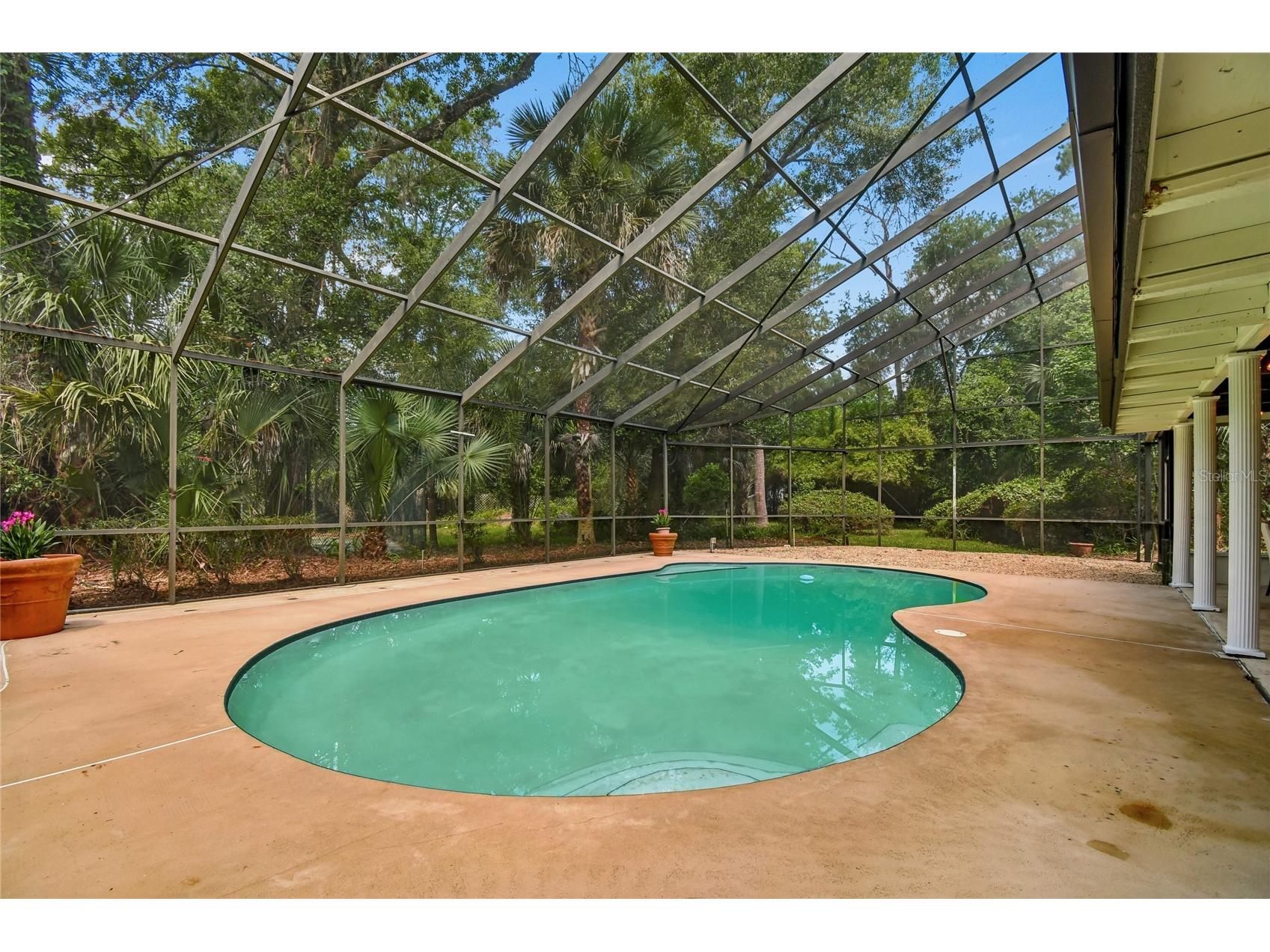 138 Wisteria Drive Longwood FL 32779 - THE SPRINGS O6392307 image17