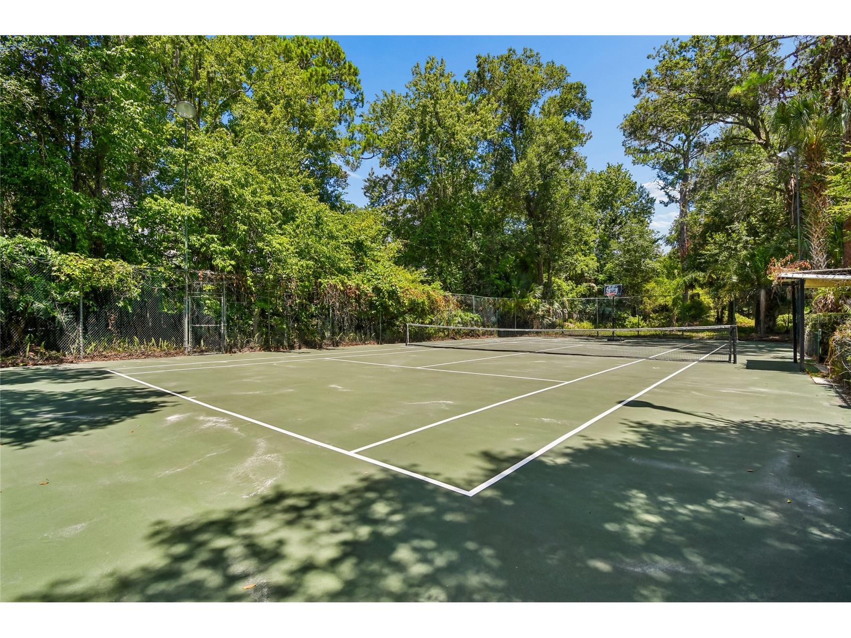 138 Wisteria Drive Longwood FL 32779 - THE SPRINGS O6392307 image28
