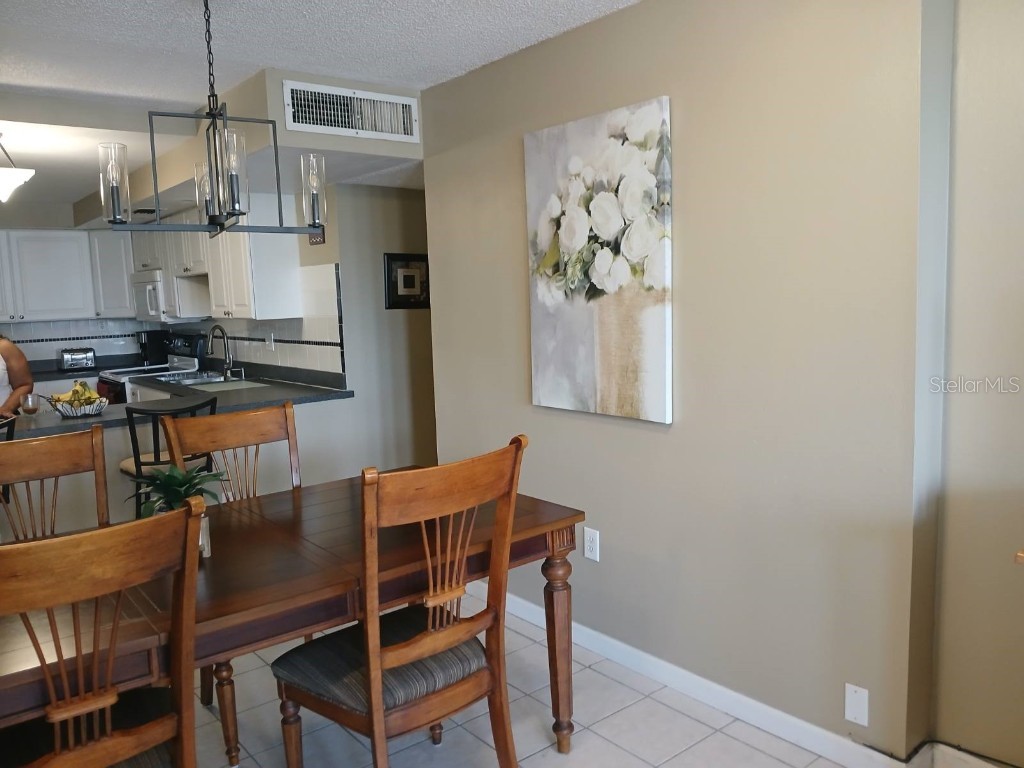 1380 Gulf Boulevard #206 Clearwater FL 33767 U8232542 image14