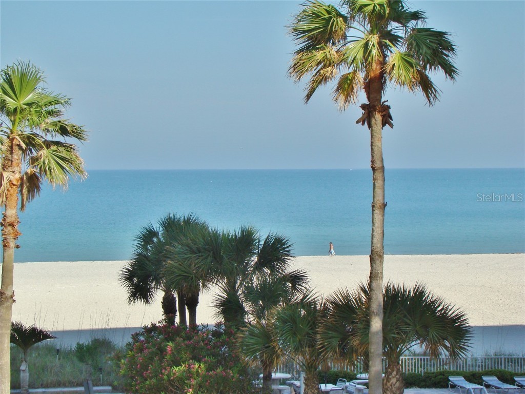 1380 Gulf Boulevard #206 Clearwater FL 33767 U8232542 image2