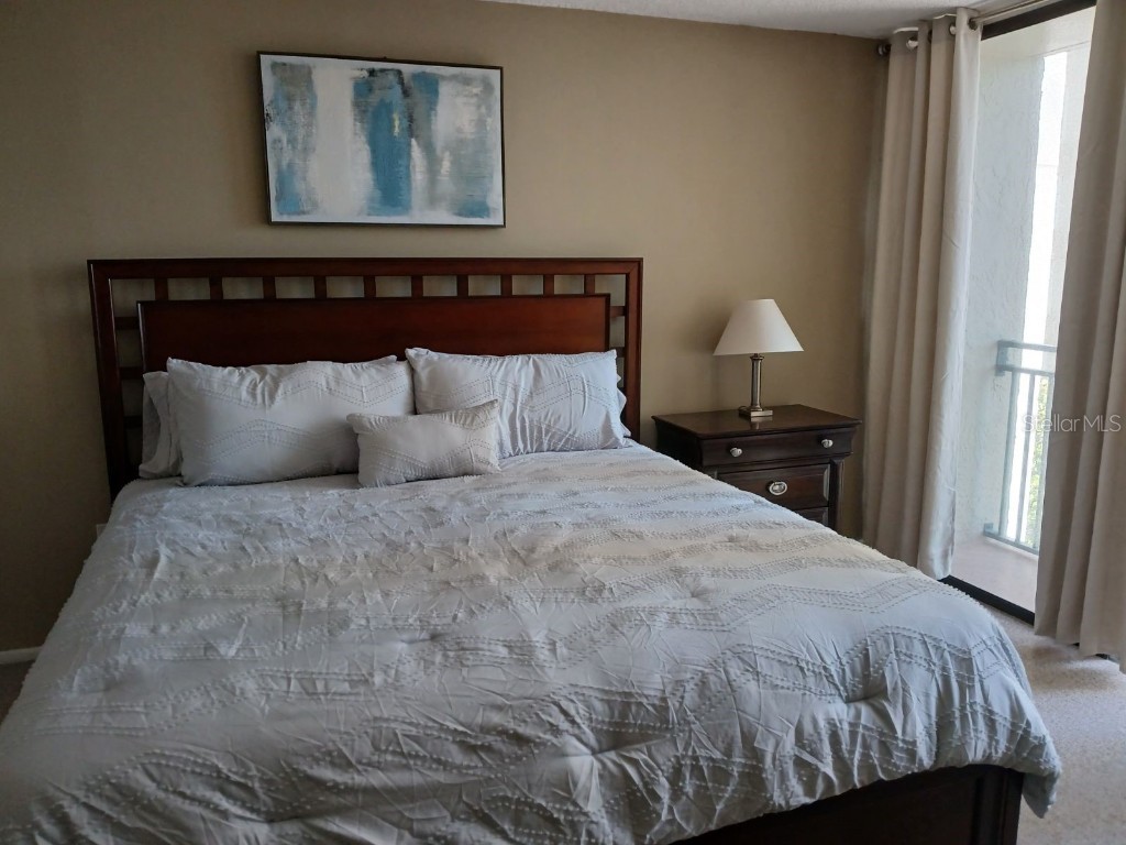 1380 Gulf Boulevard #206 Clearwater FL 33767 U8232542 image20