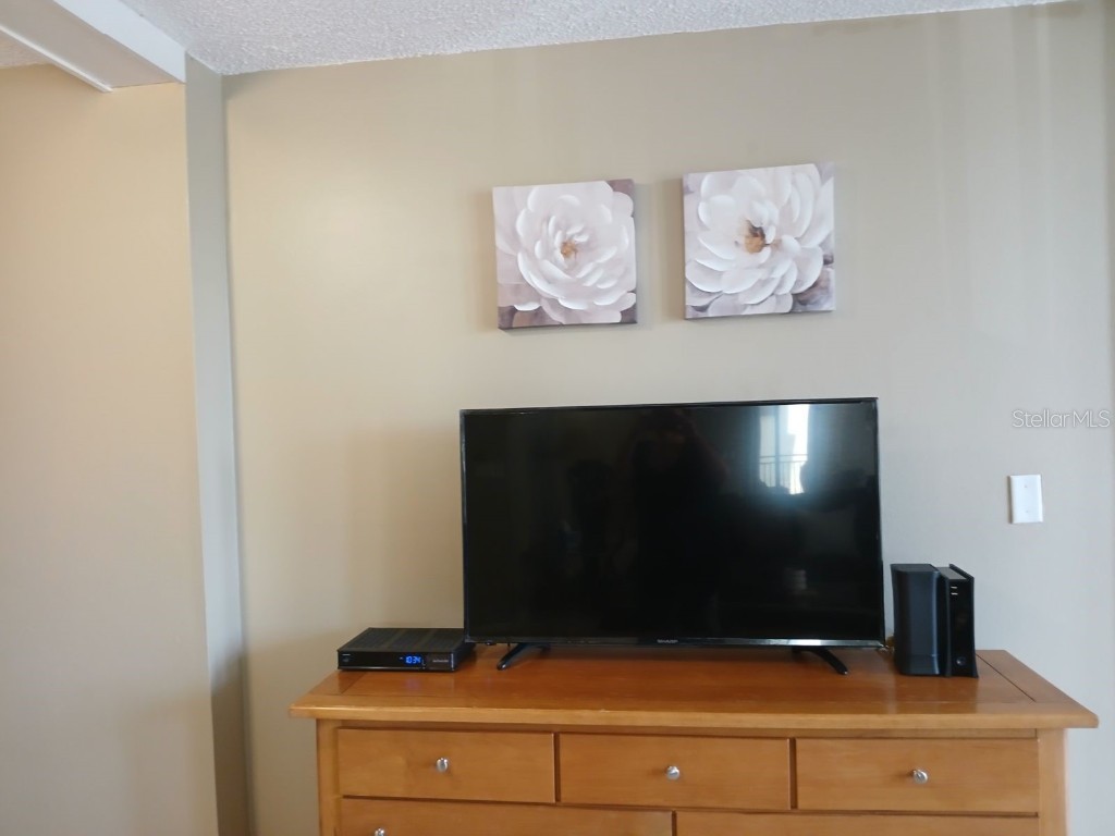 1380 Gulf Boulevard #206 Clearwater FL 33767 U8232542 image24