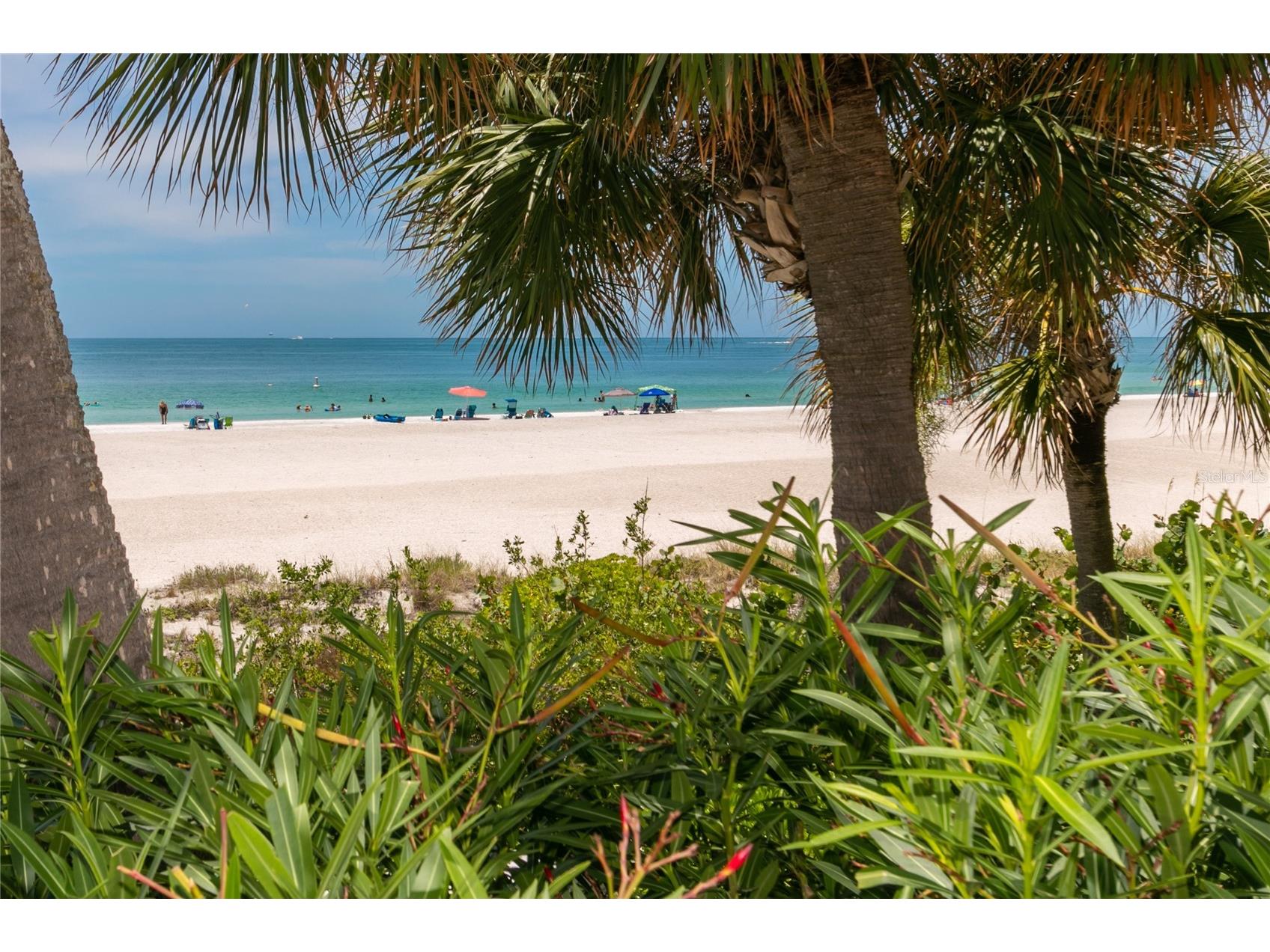 1380 Gulf Boulevard #307 Clearwater Beach FL 33767 - GULF OF MEXICO U8241002 image10
