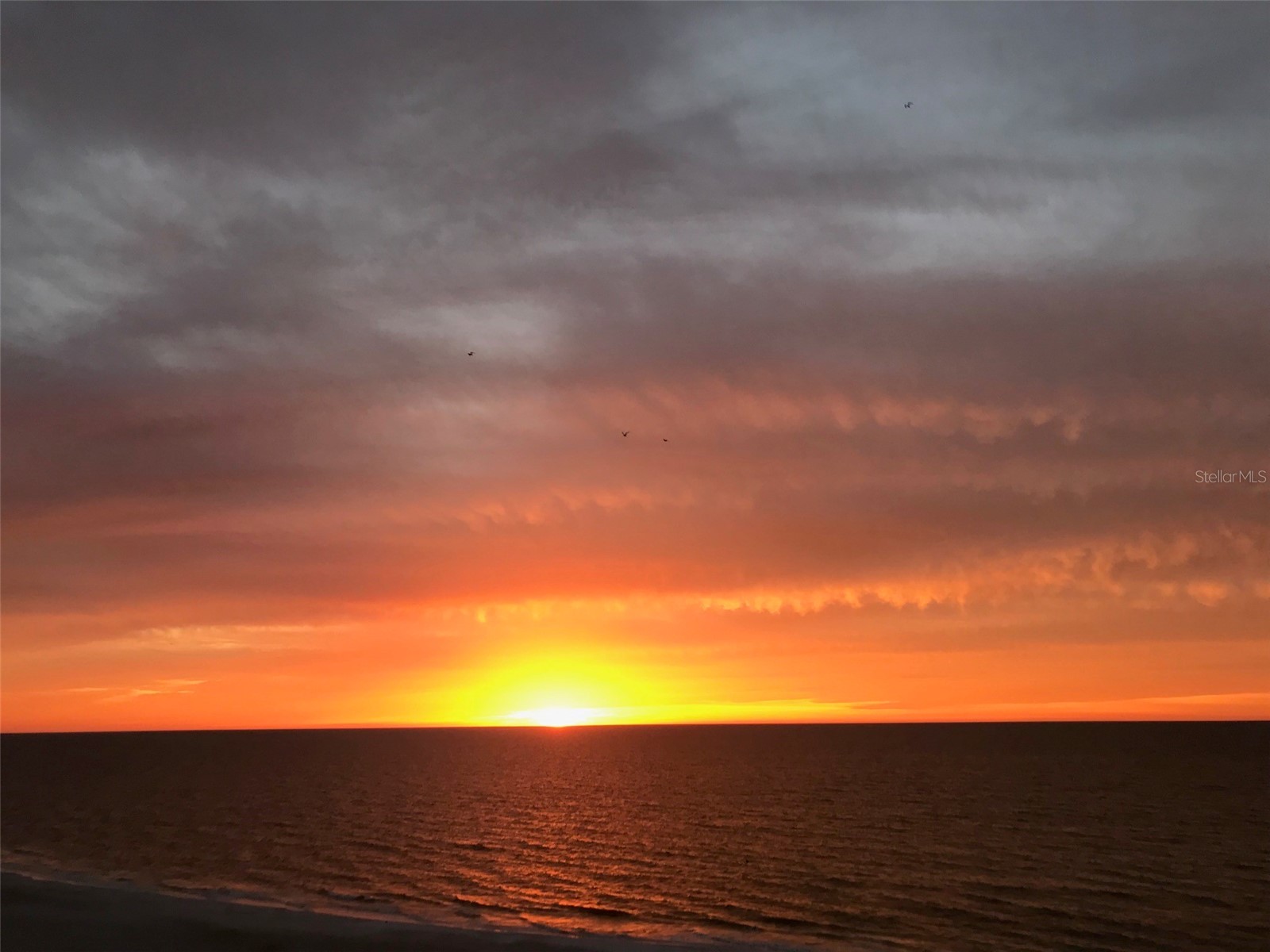 1380 Gulf Boulevard #307 Clearwater Beach FL 33767 - GULF OF MEXICO U8241002 image40