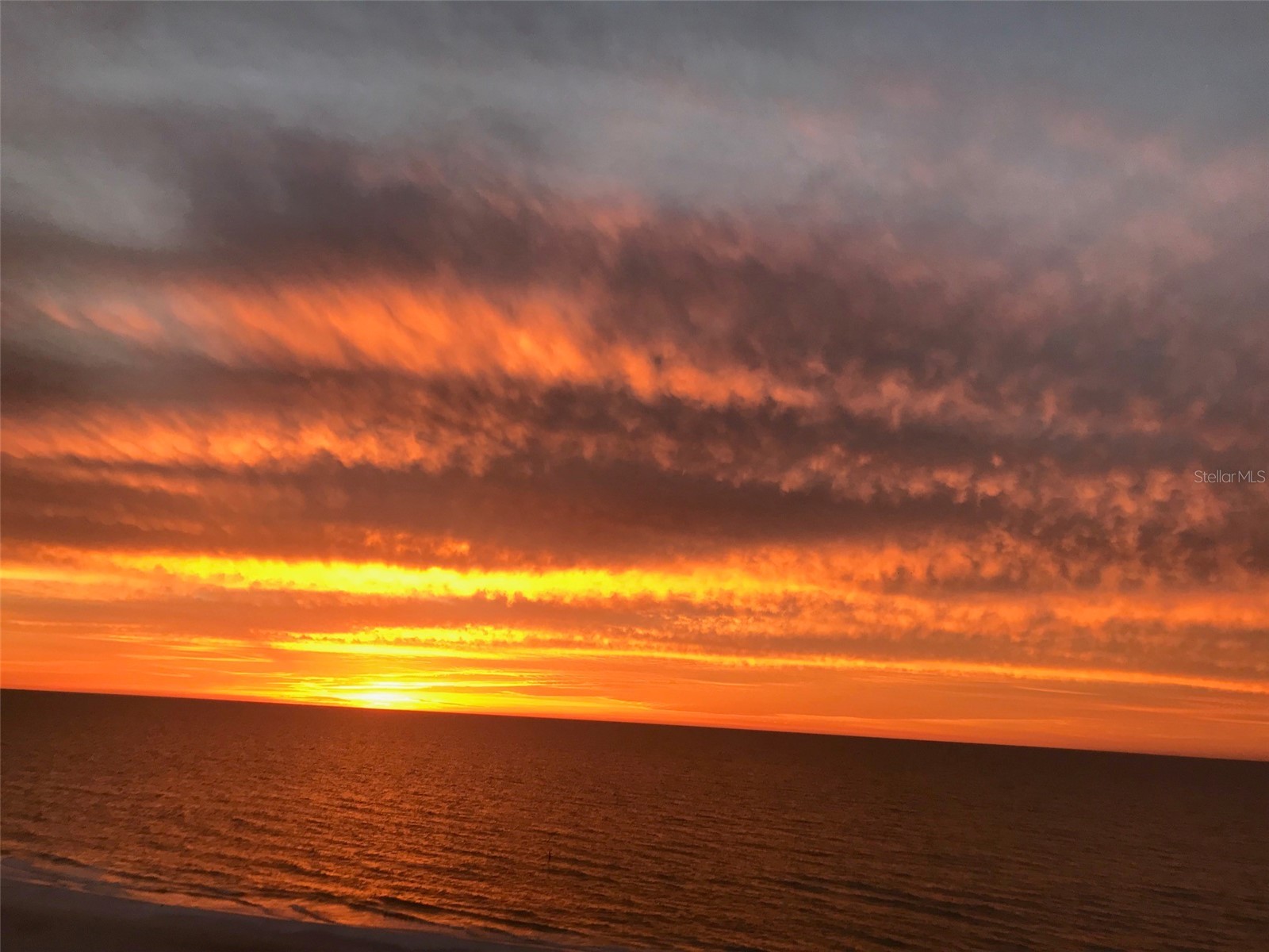 1380 Gulf Boulevard #805 Clearwater FL 33767 - GULF OF ANERICA TB8395264 image44