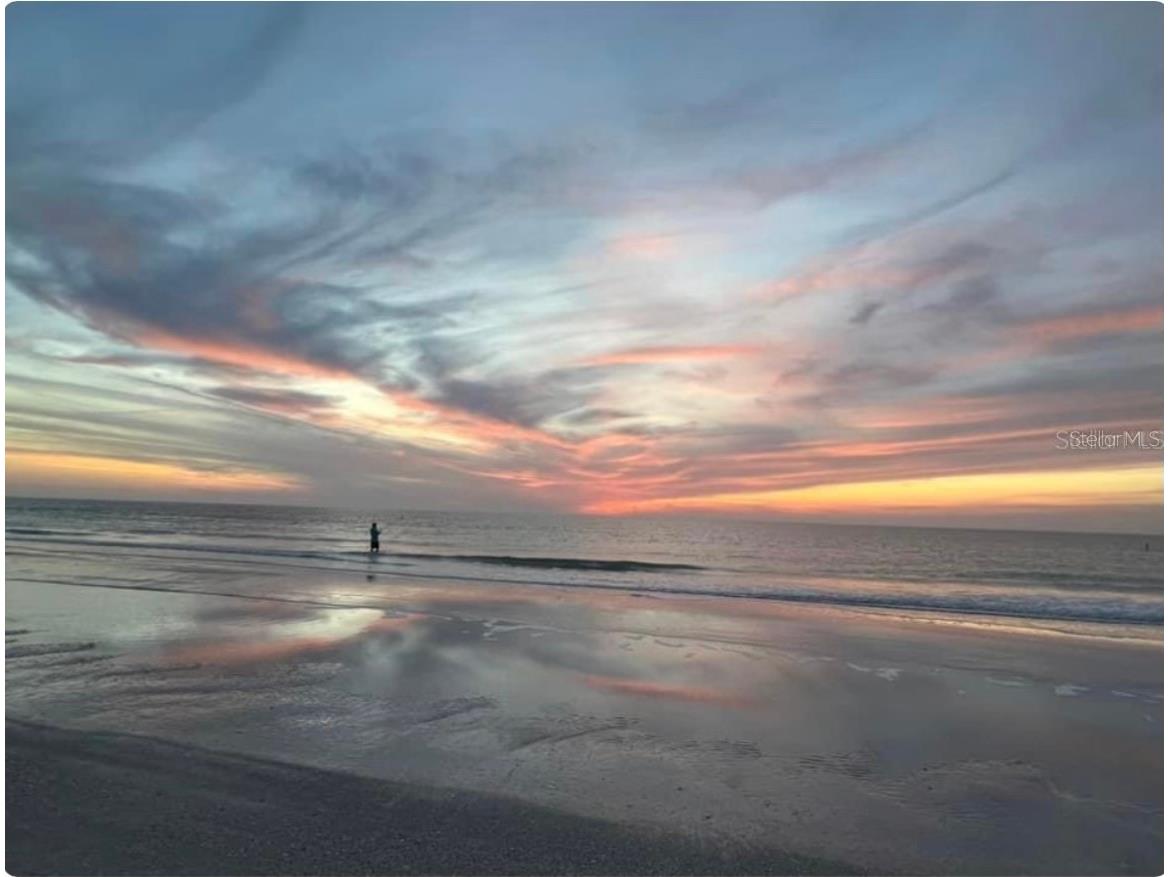 1380 Gulf Boulevard #805 Clearwater FL 33767 - GULF OF ANERICA TB8395264 image51