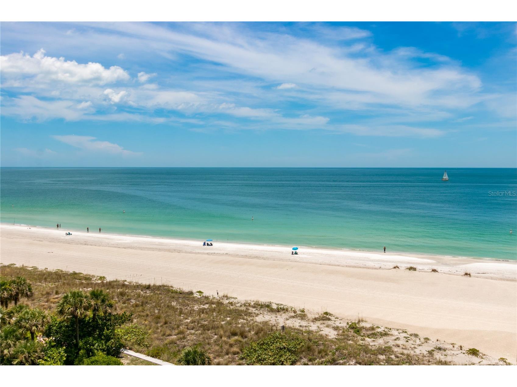 1380 Gulf Boulevard #805 Clearwater FL 33767 - GULF OF AMERICA TB8465348 image4