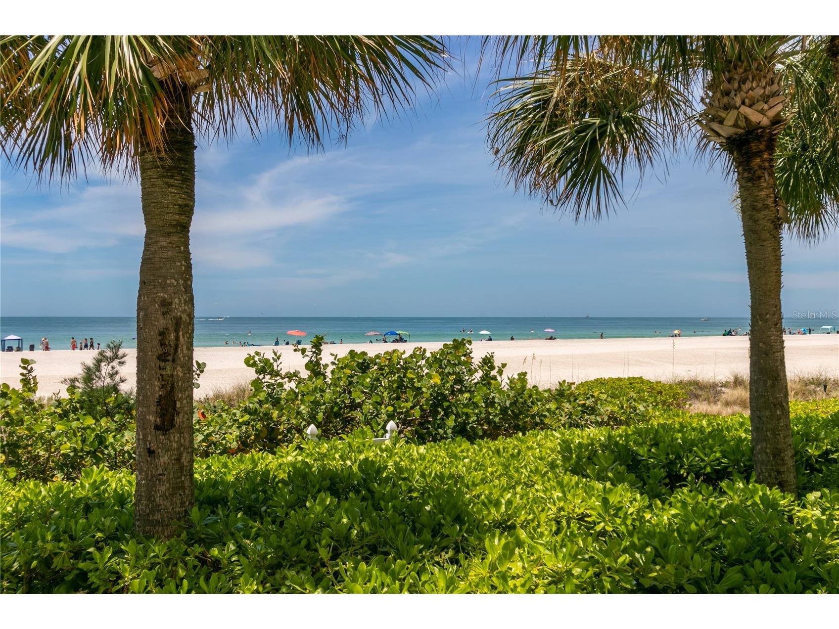 1380 Gulf Boulevard #805 Clearwater FL 33767 - GULF OF AMERICA TB8465348 image44