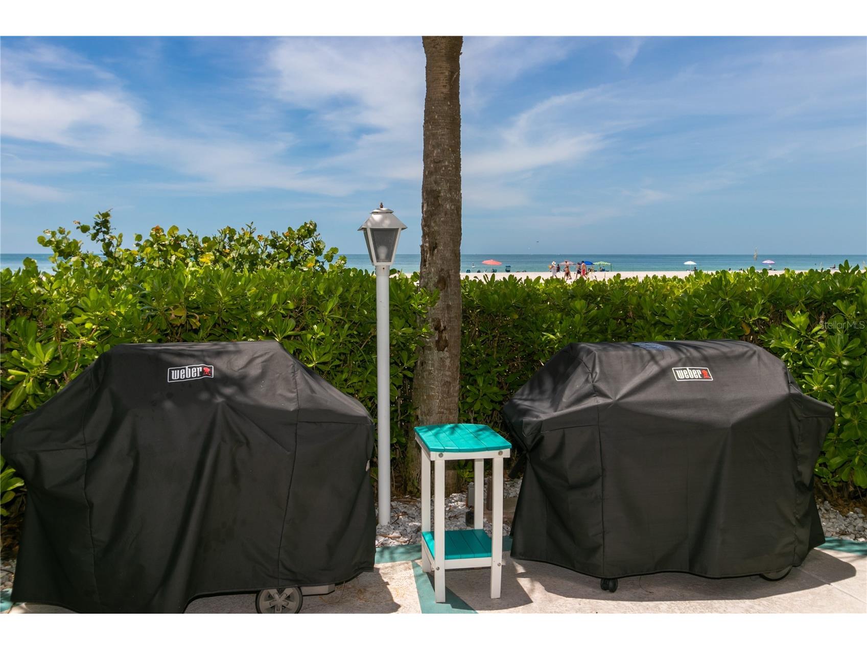 1380 Gulf Boulevard #805 Clearwater FL 33767 - GULF OF AMERICA TB8465348 image45