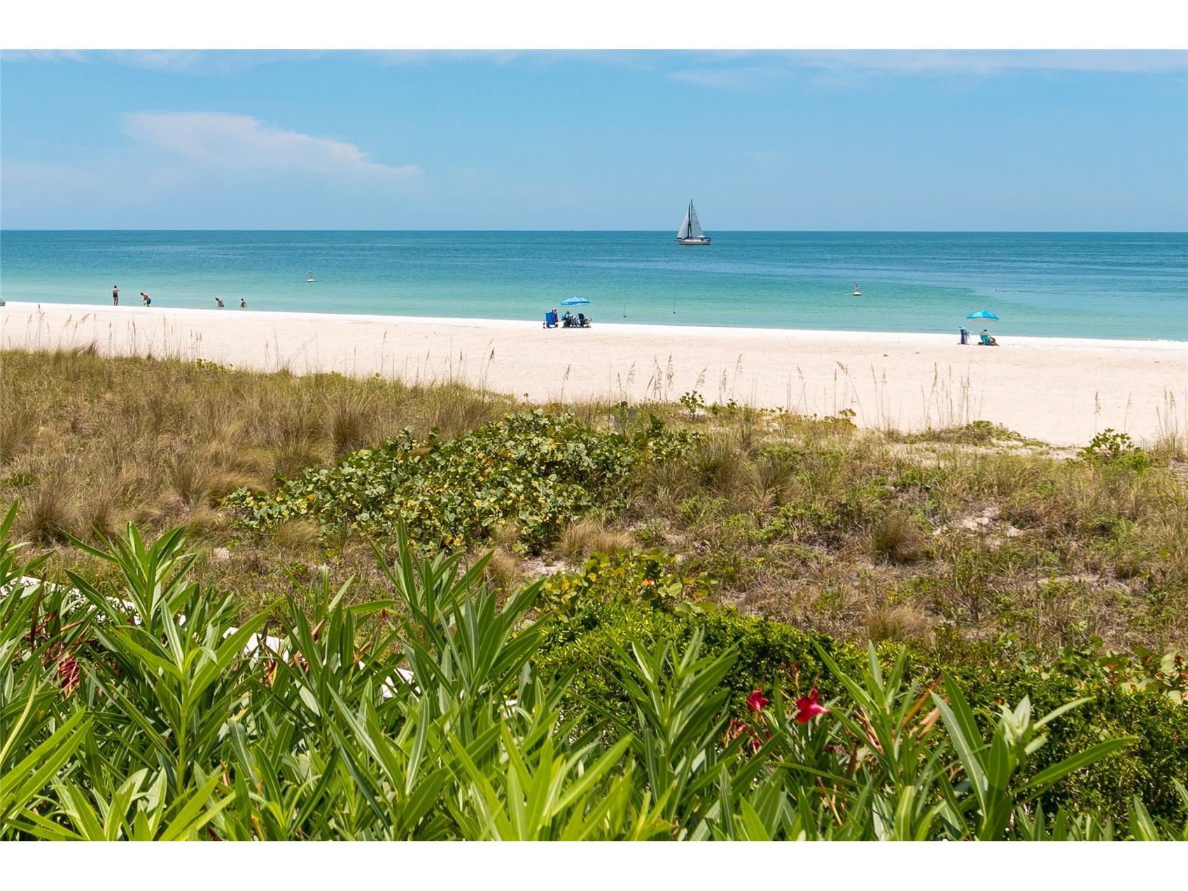 1380 Gulf Boulevard #805 Clearwater FL 33767 - GULF OF AMERICA TB8465348 image46