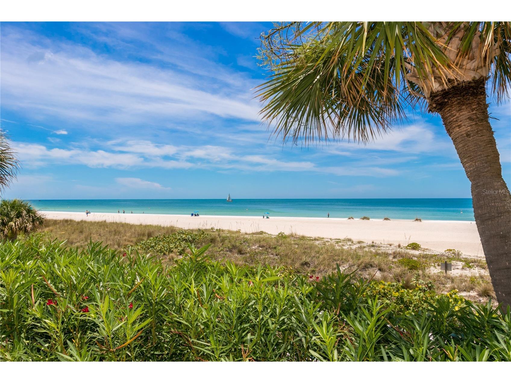 1380 Gulf Boulevard #805 Clearwater FL 33767 - GULF OF AMERICA TB8465348 image54