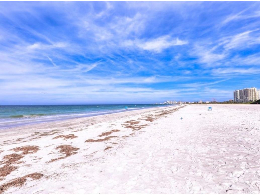 1380 Gulf Boulevard #806 Clearwater Beach FL 33767 TB8390263 image32