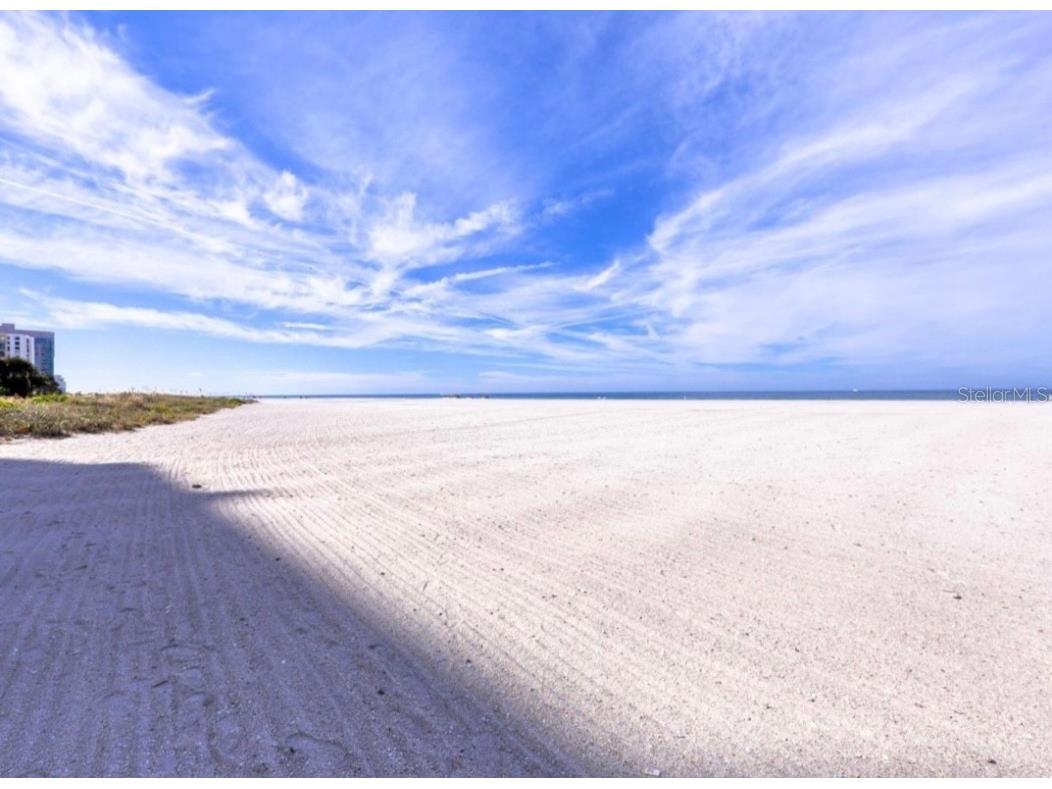 1380 Gulf Boulevard #806 Clearwater Beach FL 33767 TB8390263 image33