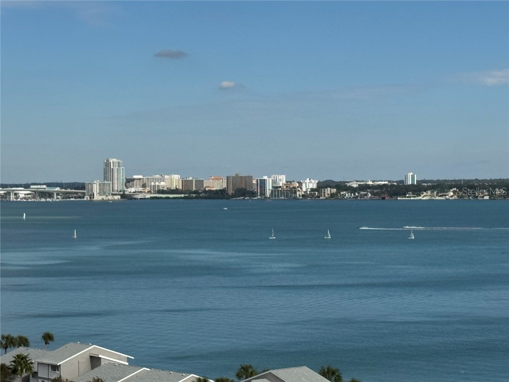 1380 Gulf Boulevard #906 Clearwater Beach FL 33767 - GULF OF MEXICO TB8437991 image1