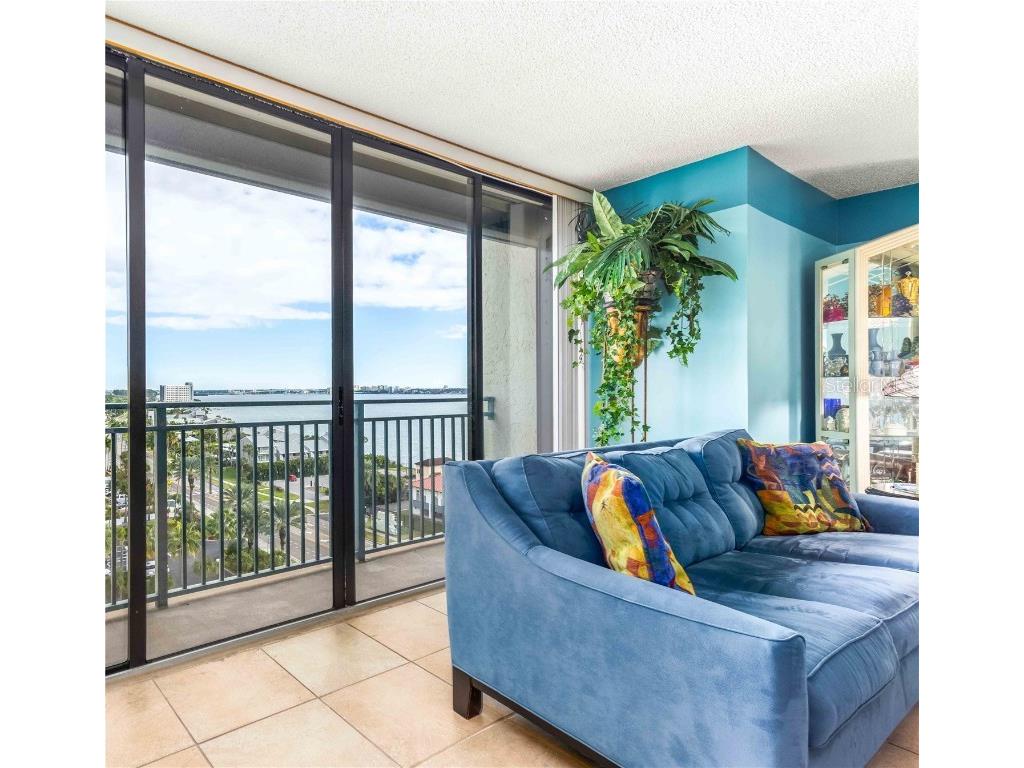1380 Gulf Boulevard #906 Clearwater Beach FL 33767 - GULF OF MEXICO TB8437991 image69
