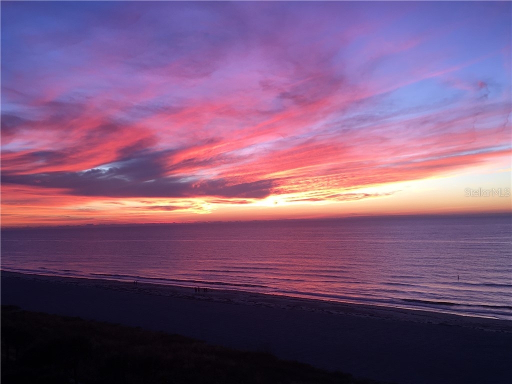 1380 Gulf Boulevard #PH-5 Clearwater FL 33767 - GULF OF AMERICA TB8381930 image4