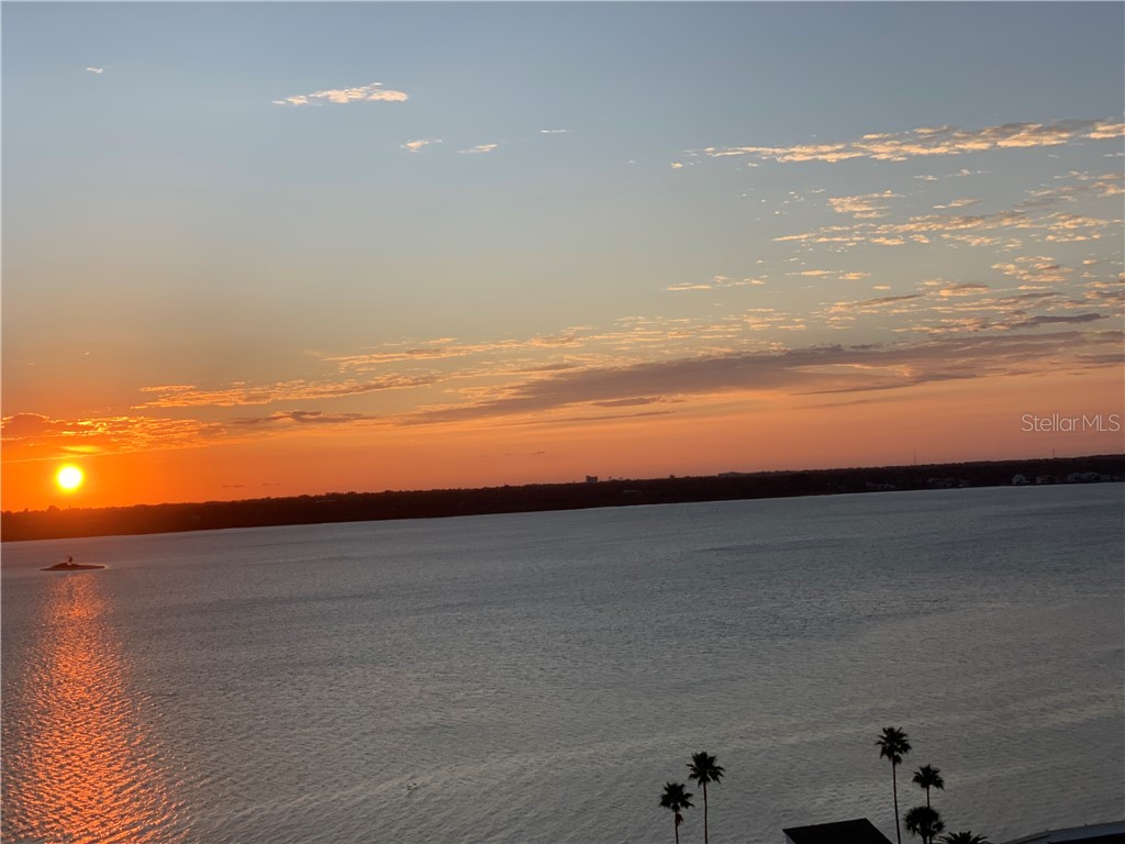 1380 Gulf Boulevard #PH-5 Clearwater FL 33767 - GULF OF AMERICA TB8381930 image67