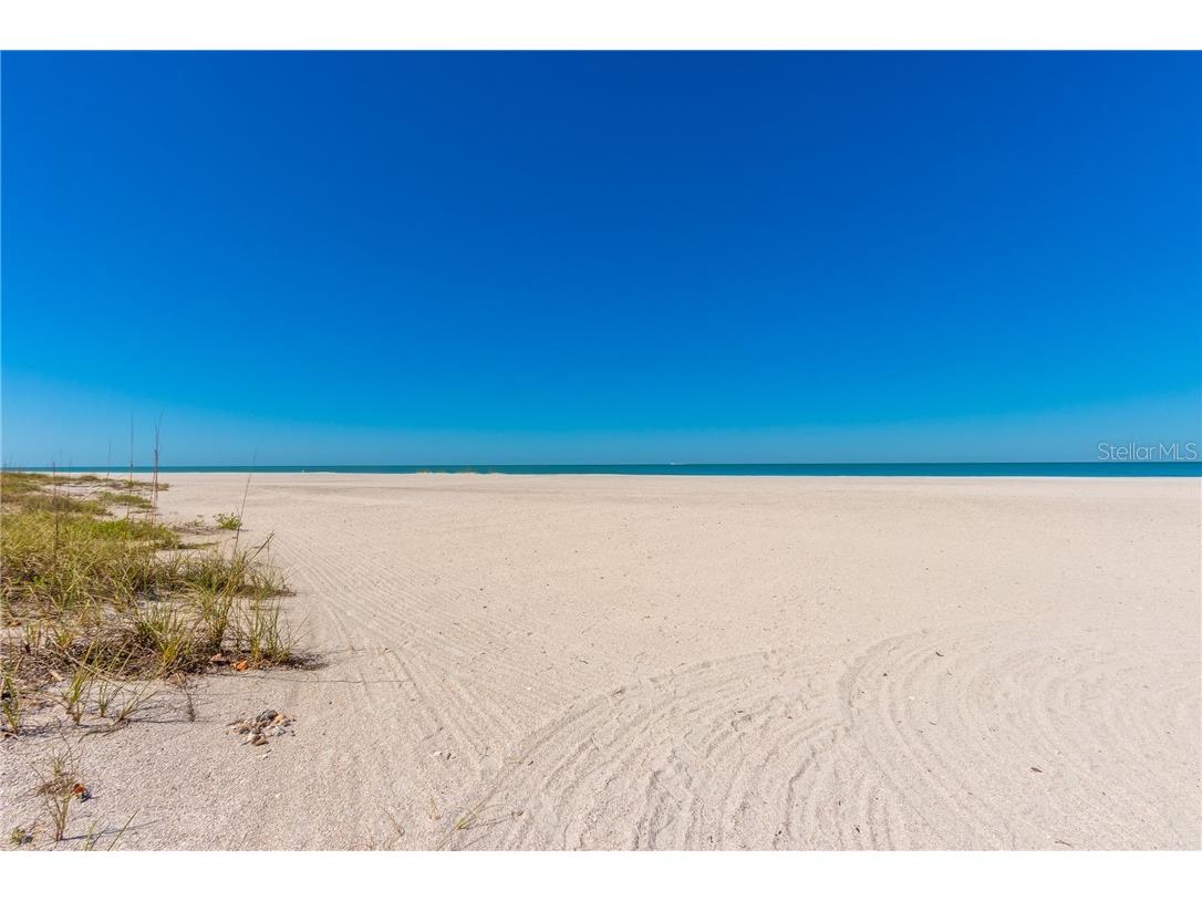 1380 Gulf Boulevard #PH-5 Clearwater FL 33767 - GULF OF AMERICA TB8381930 image72