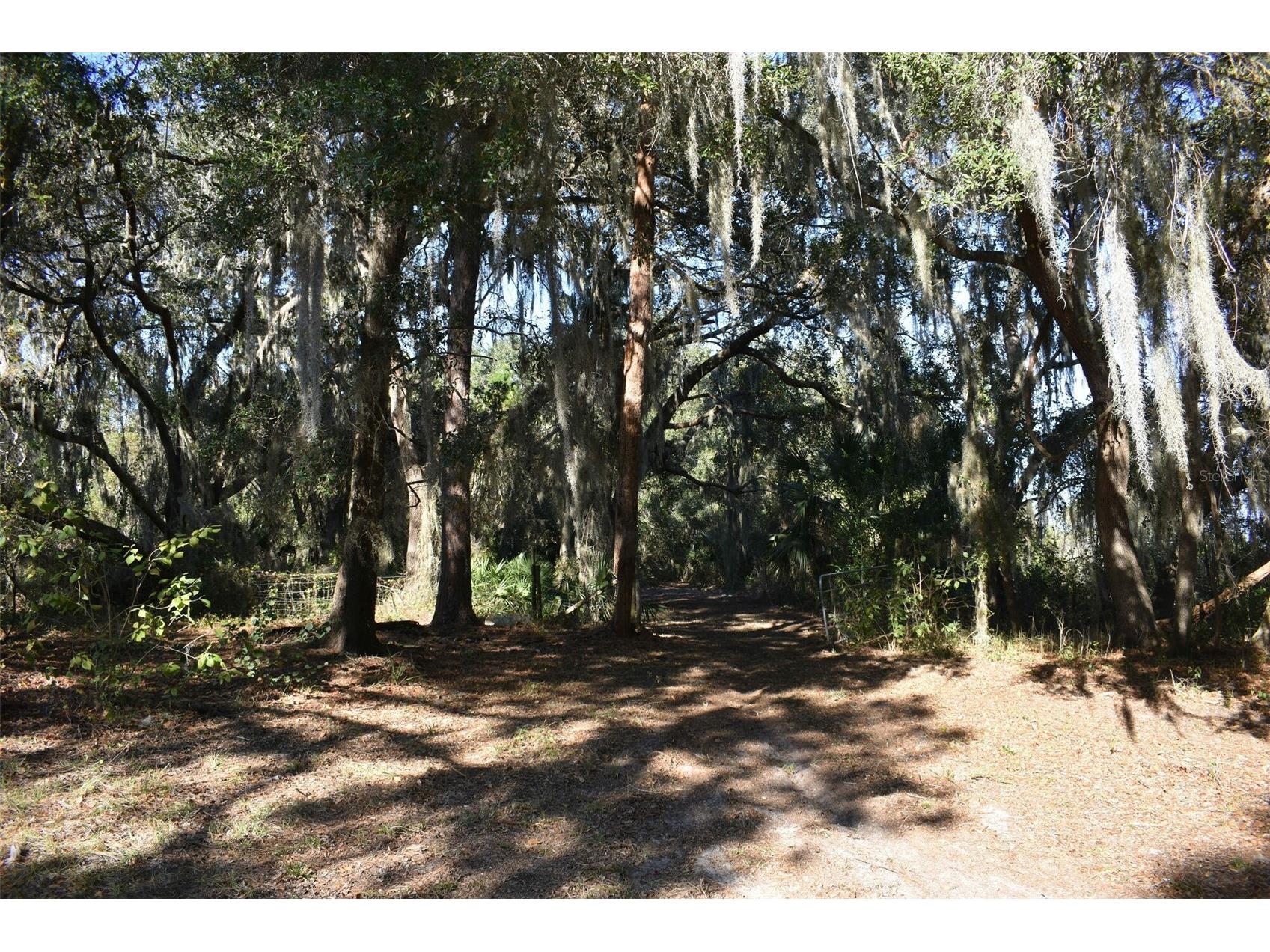 13800 County Road 450 Umatilla FL 32784 L4960577 image33