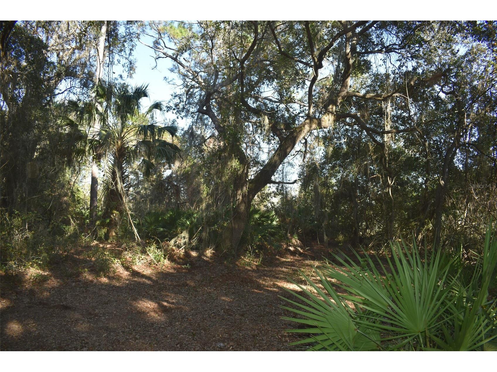13800 County Road 450 Umatilla FL 32784 L4960577 image35