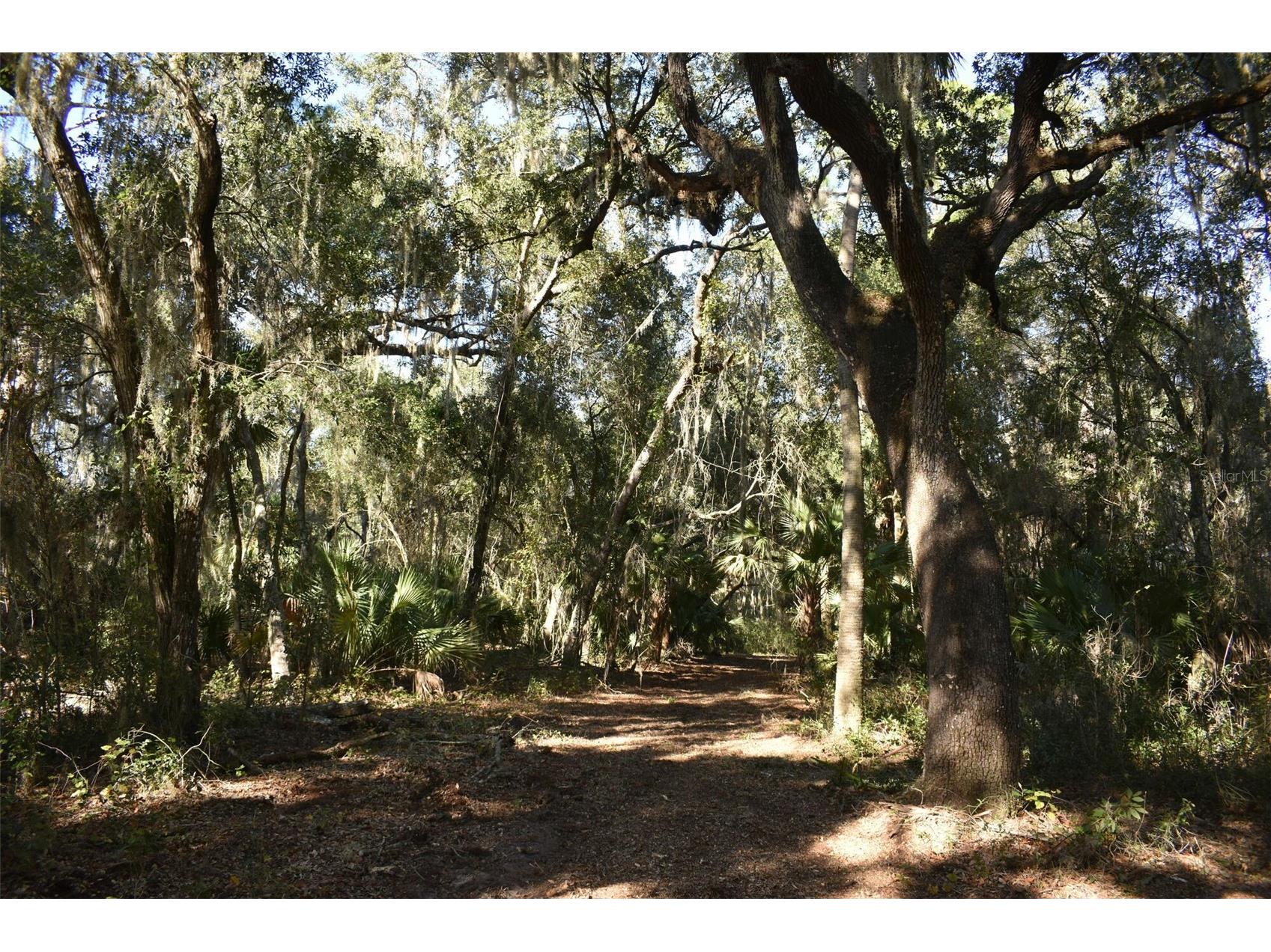 13800 County Road 450 Umatilla FL 32784 L4960577 image36