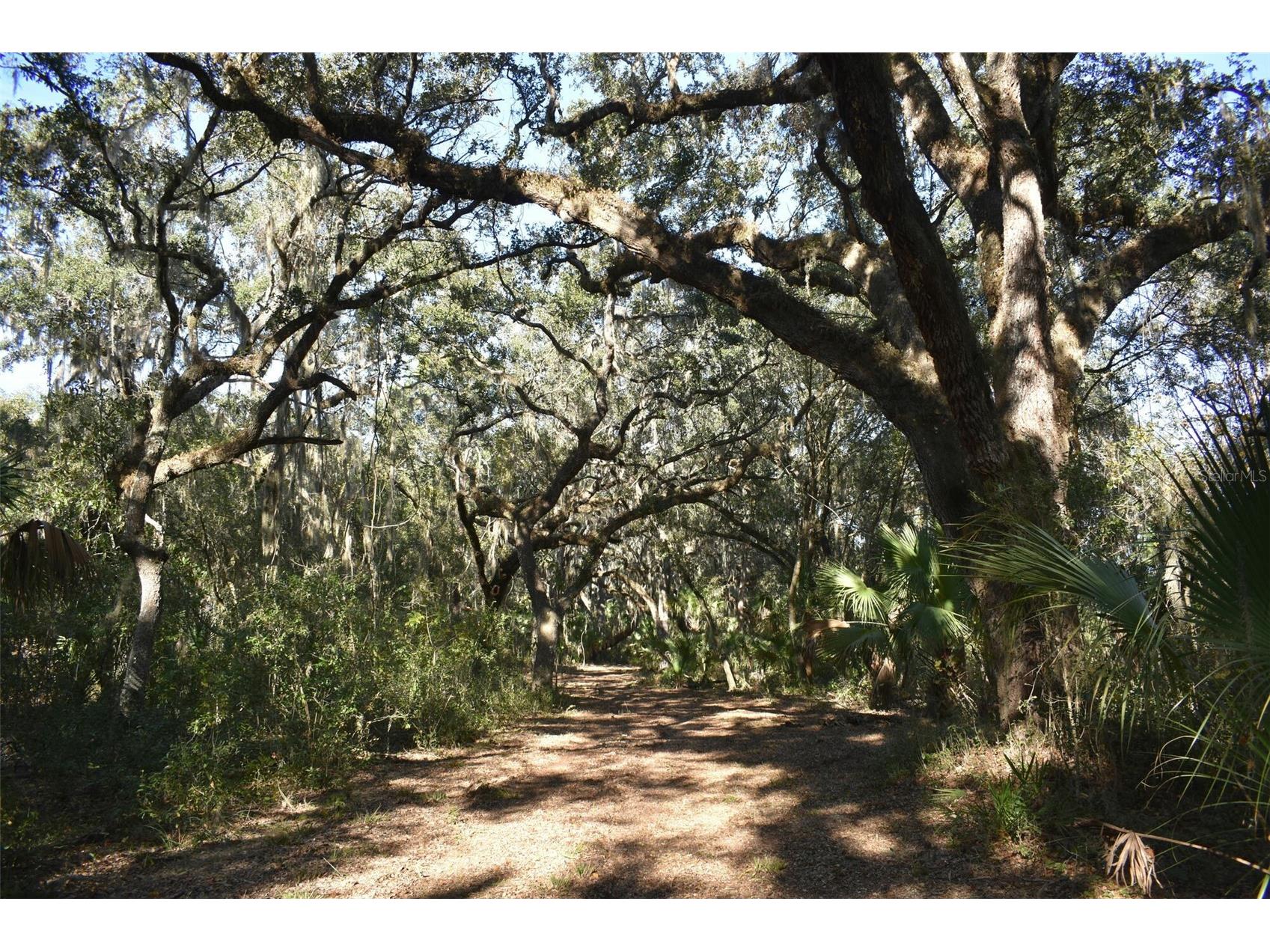 13800 County Road 450 Umatilla FL 32784 L4960577 image37