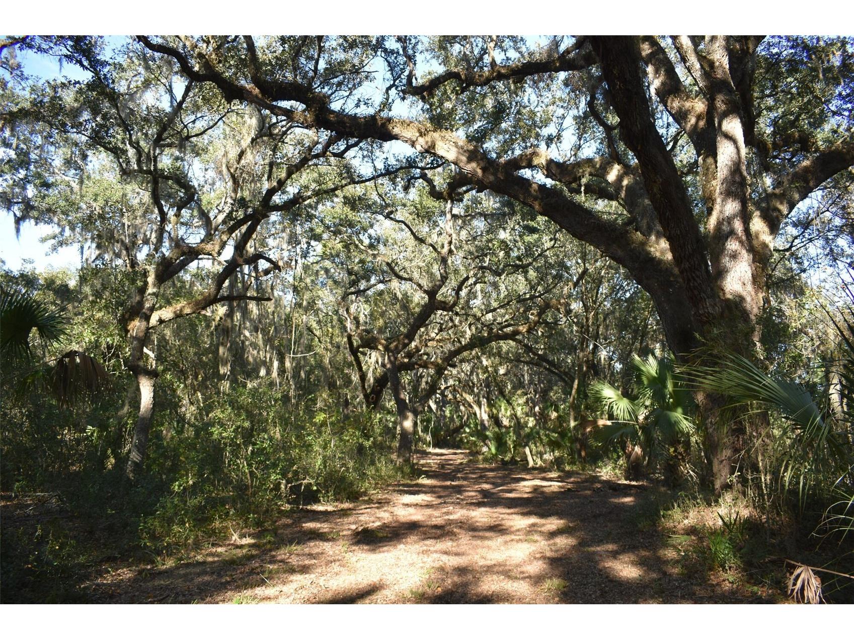 13800 County Road 450 Umatilla FL 32784 L4960577 image38