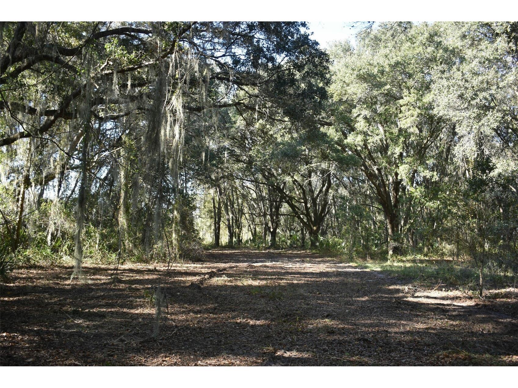 13800 County Road 450 Umatilla FL 32784 L4960577 image40