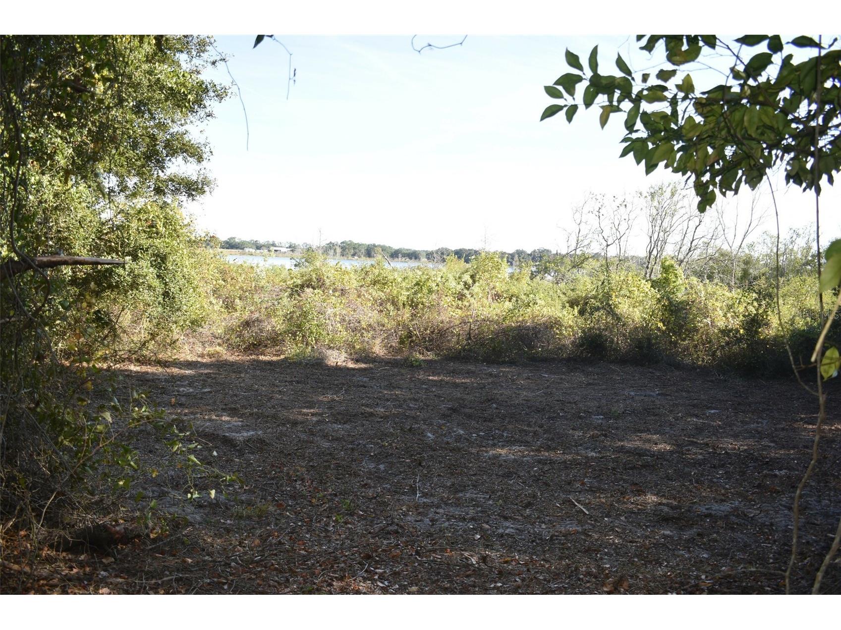 13800 County Road 450 Umatilla FL 32784 L4960577 image42