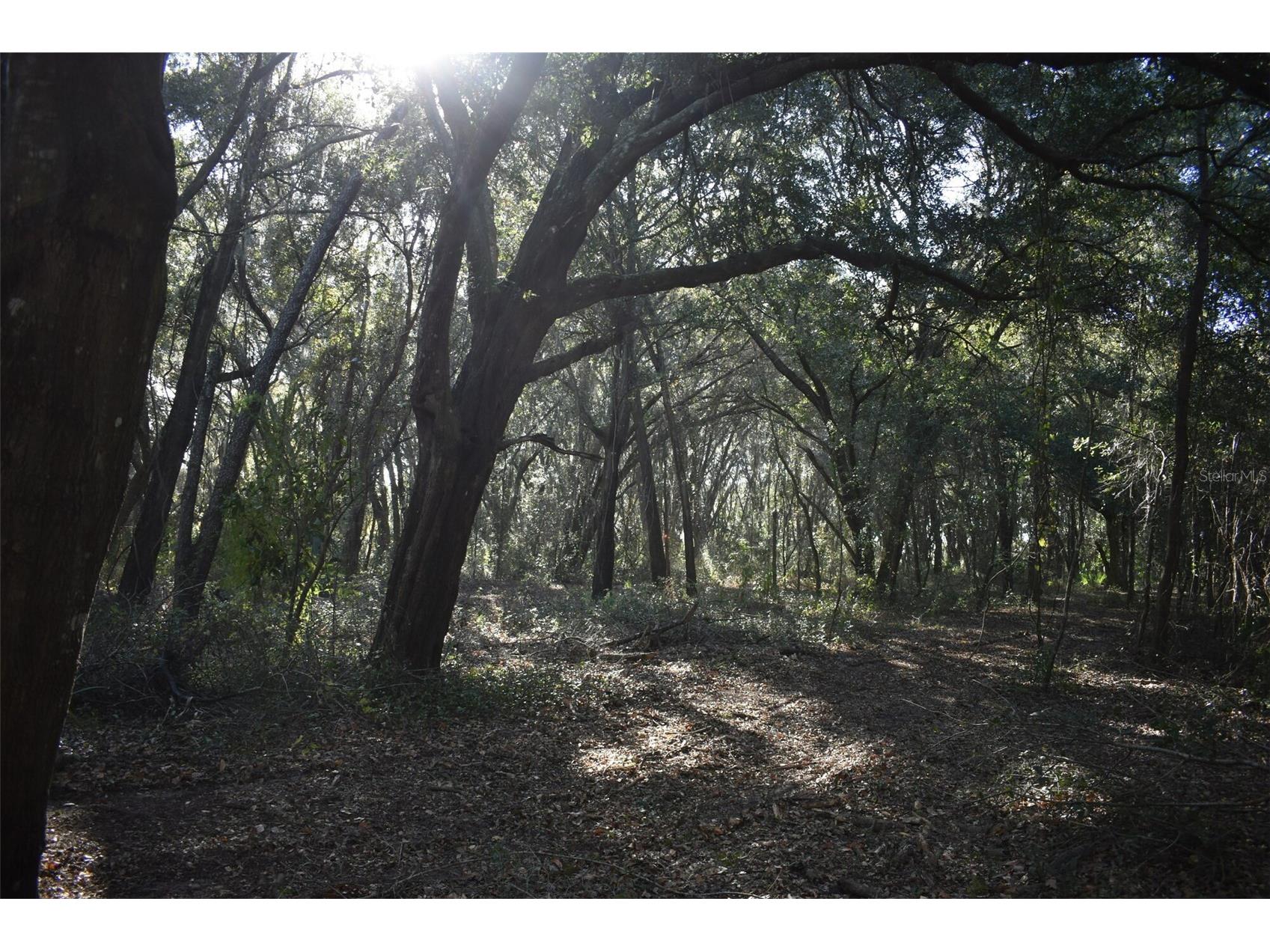 13800 County Road 450 Umatilla FL 32784 L4960577 image44