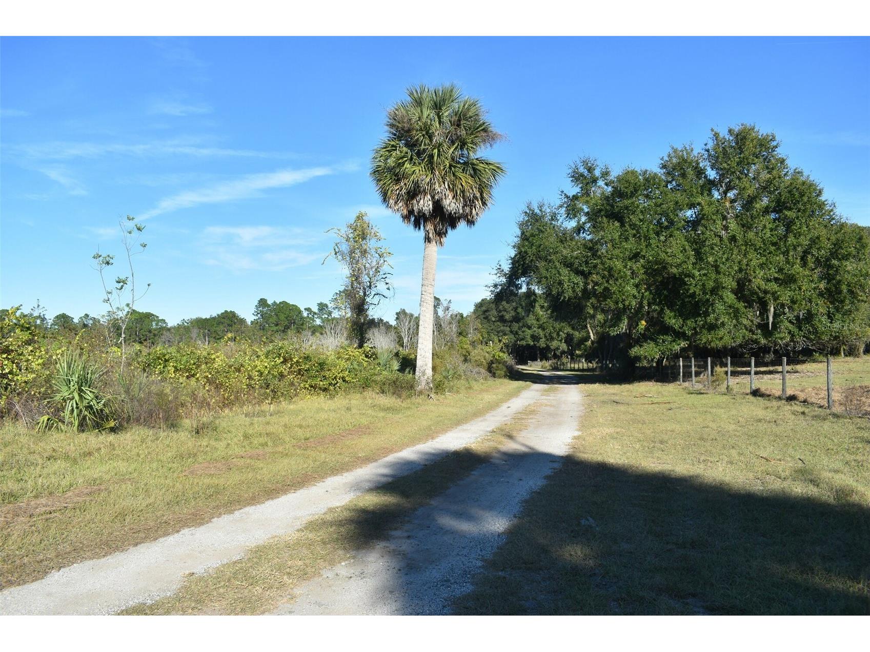 13800 County Road 450 Umatilla FL 32784 L4960577 image45