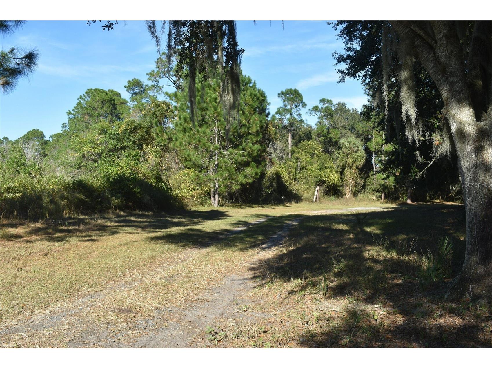 13800 County Road 450 Umatilla FL 32784 L4960577 image46