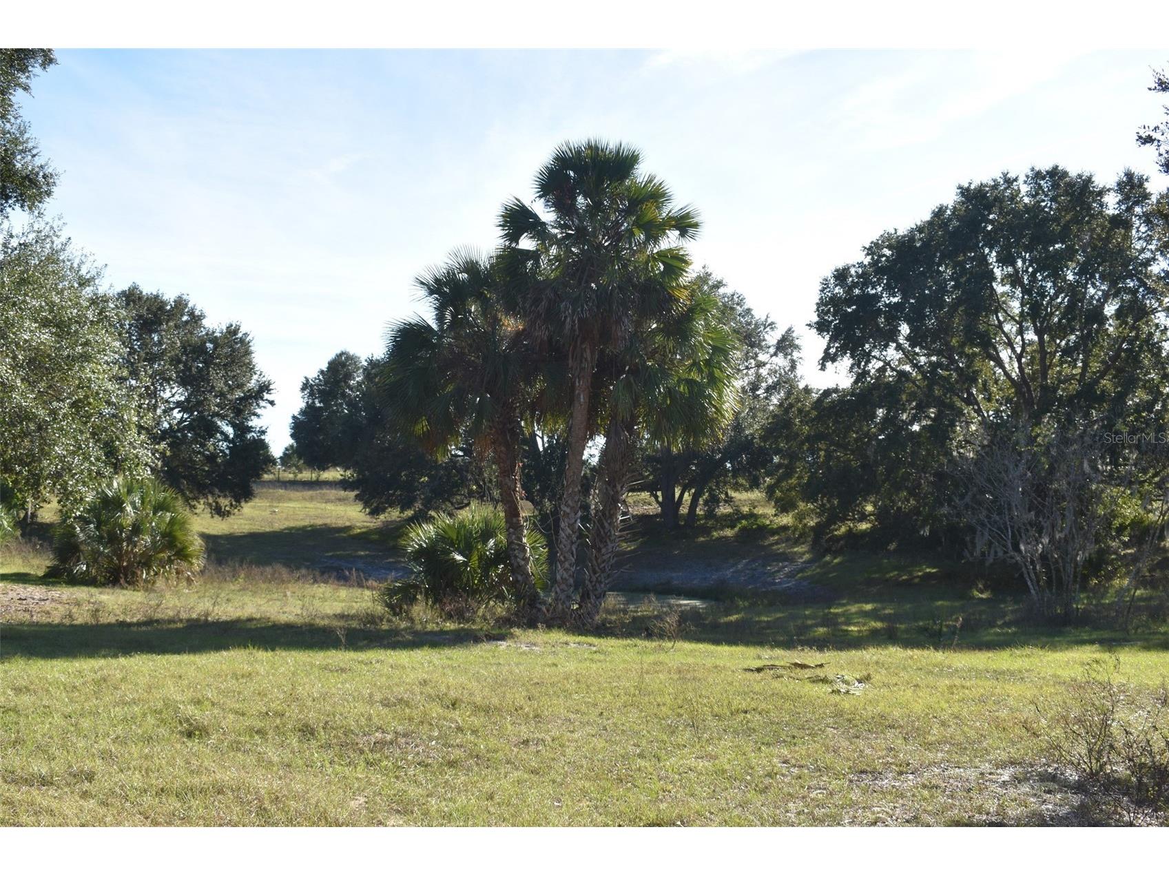 13800 County Road 450 Umatilla FL 32784 L4960577 image47