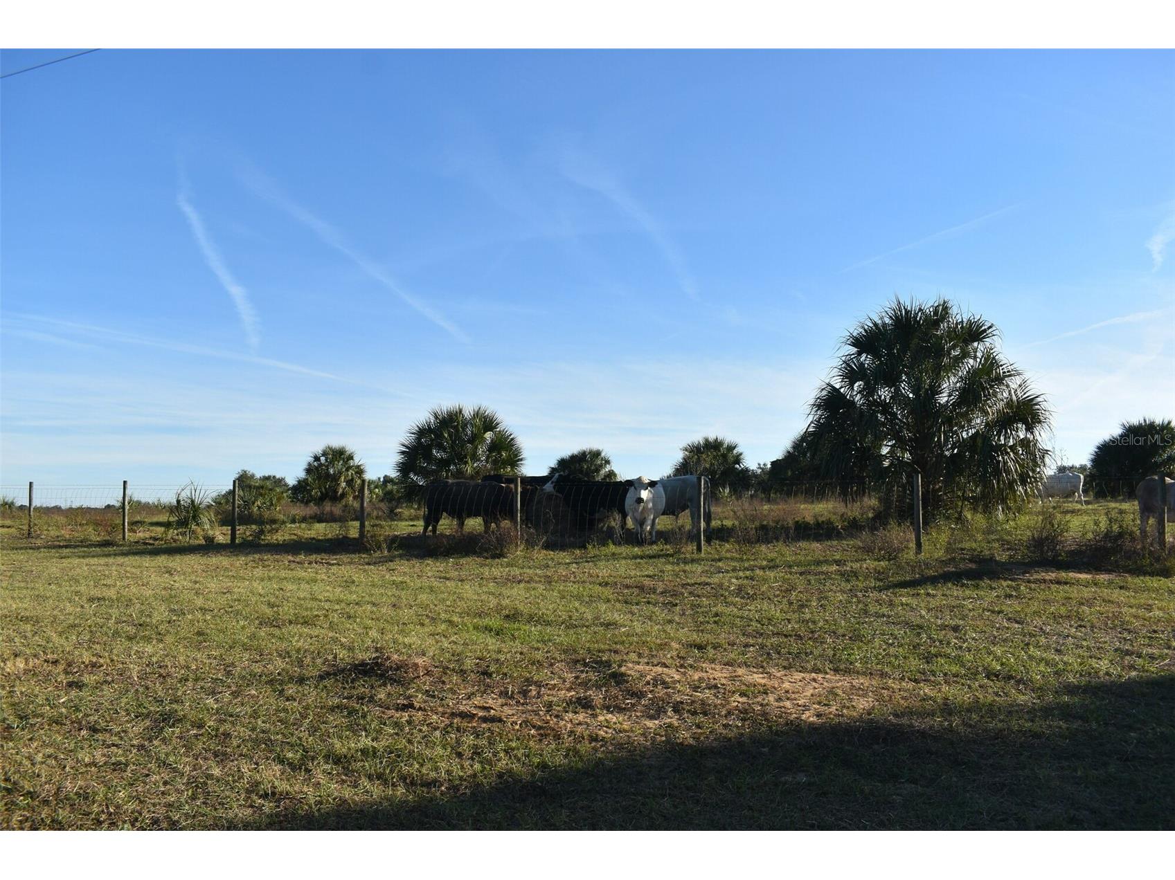 13800 County Road 450 Umatilla FL 32784 L4960577 image48