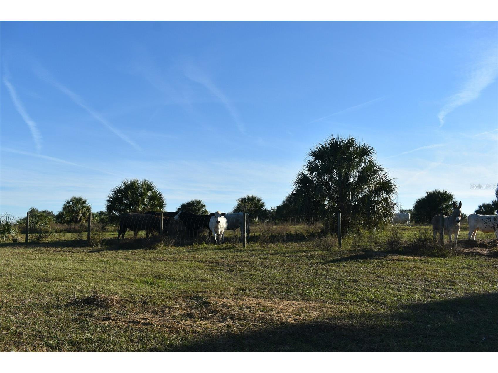 13800 County Road 450 Umatilla FL 32784 L4960577 image49
