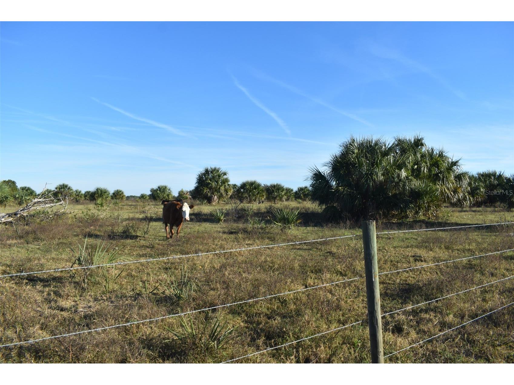 13800 County Road 450 Umatilla FL 32784 L4960577 image52