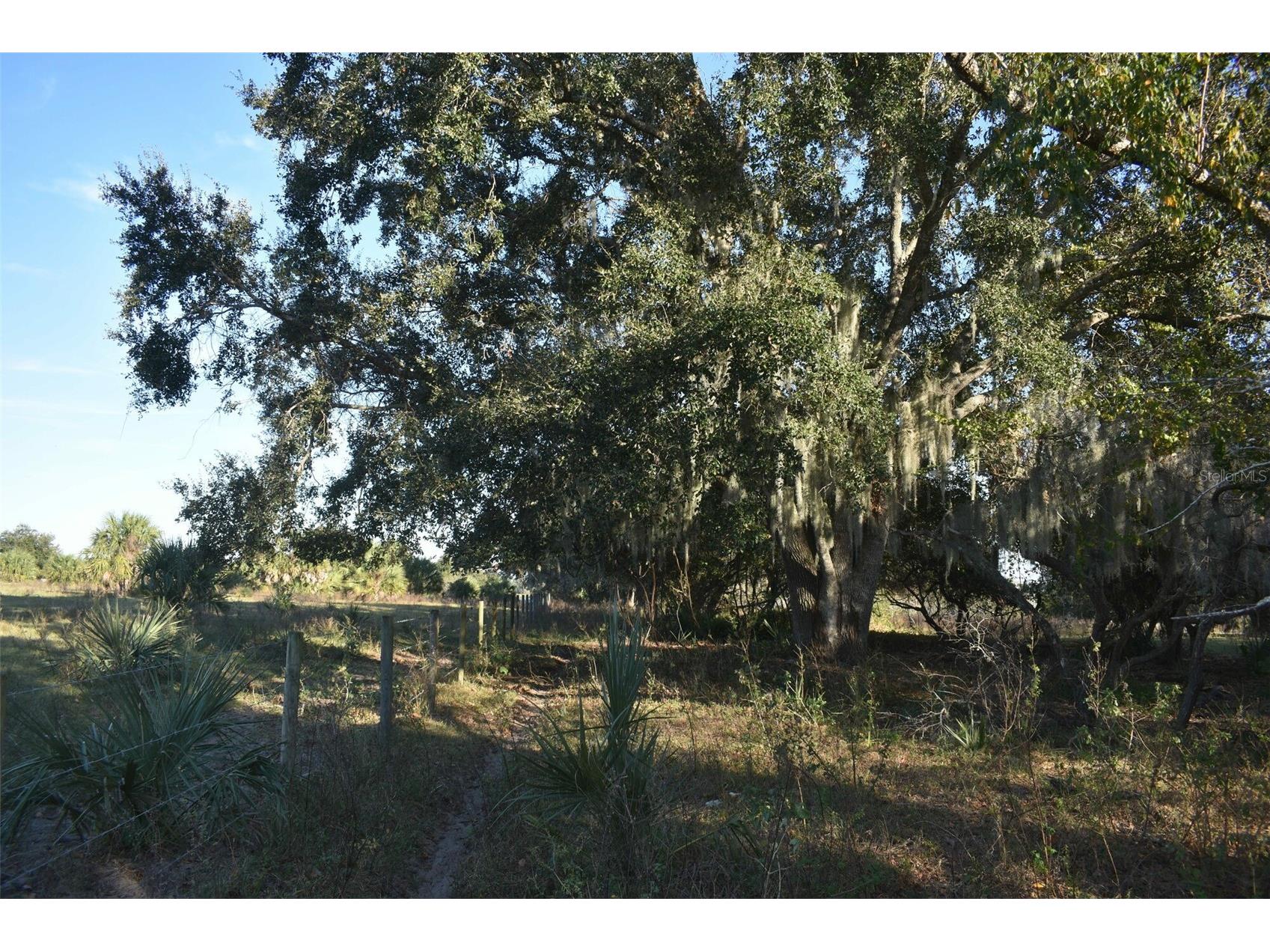 13800 County Road 450 Umatilla FL 32784 L4960577 image60