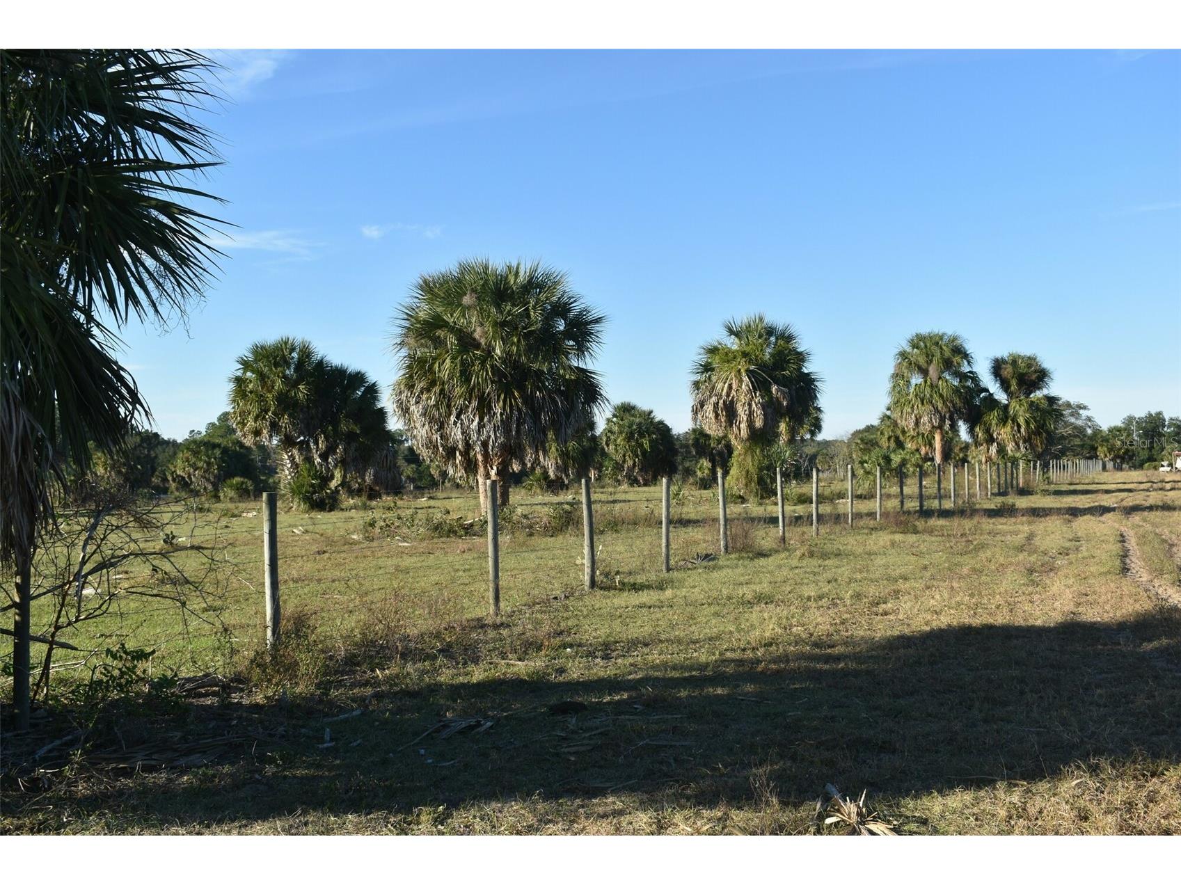 13800 County Road 450 Umatilla FL 32784 L4960577 image62