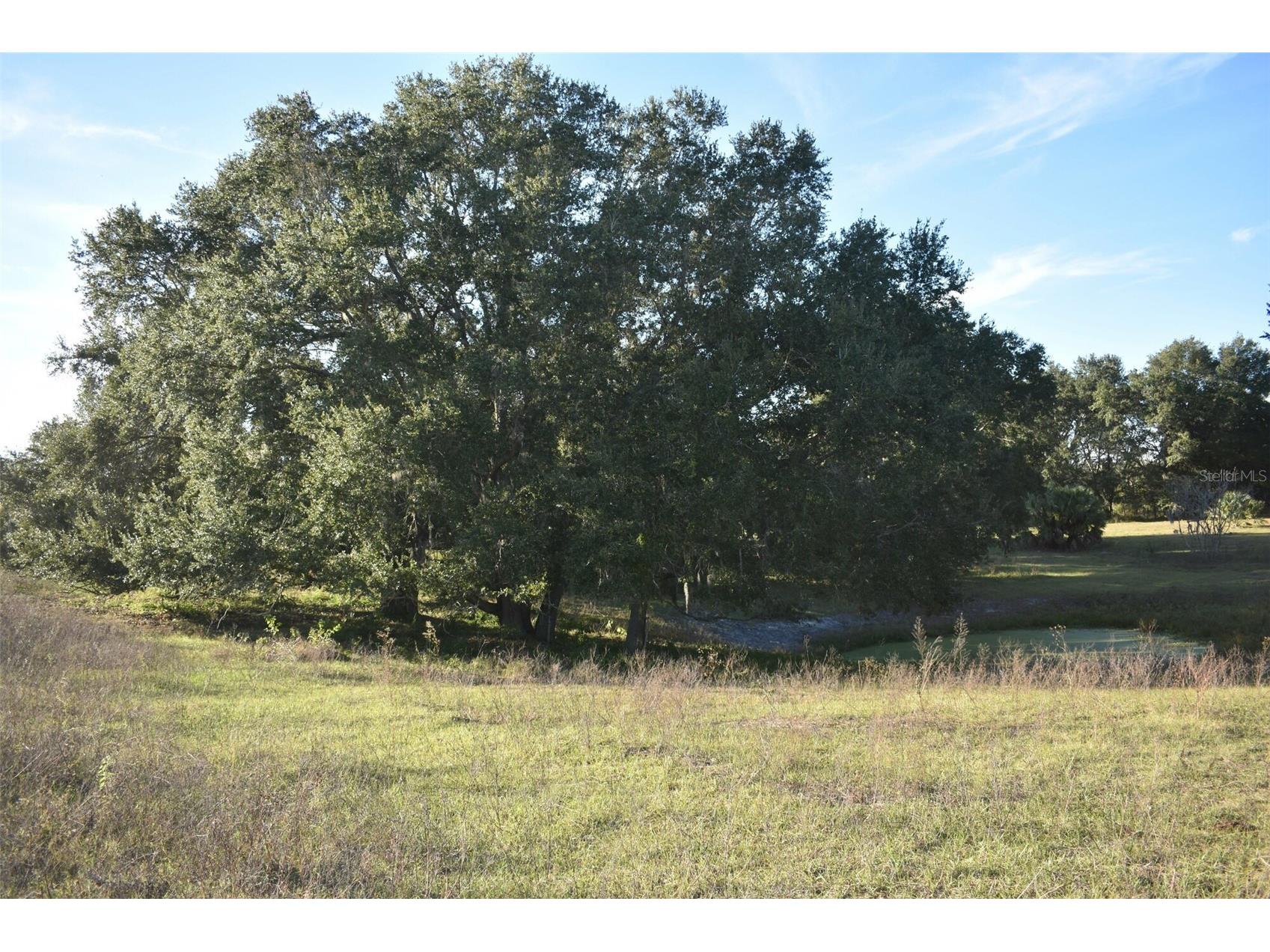 13800 County Road 450 Umatilla FL 32784 L4960577 image65
