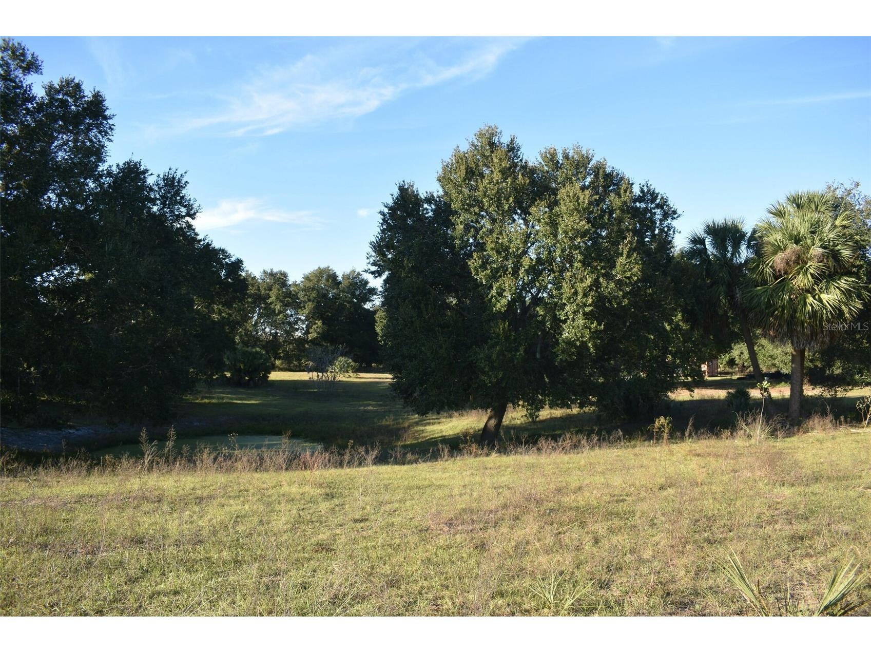 13800 County Road 450 Umatilla FL 32784 L4960577 image66