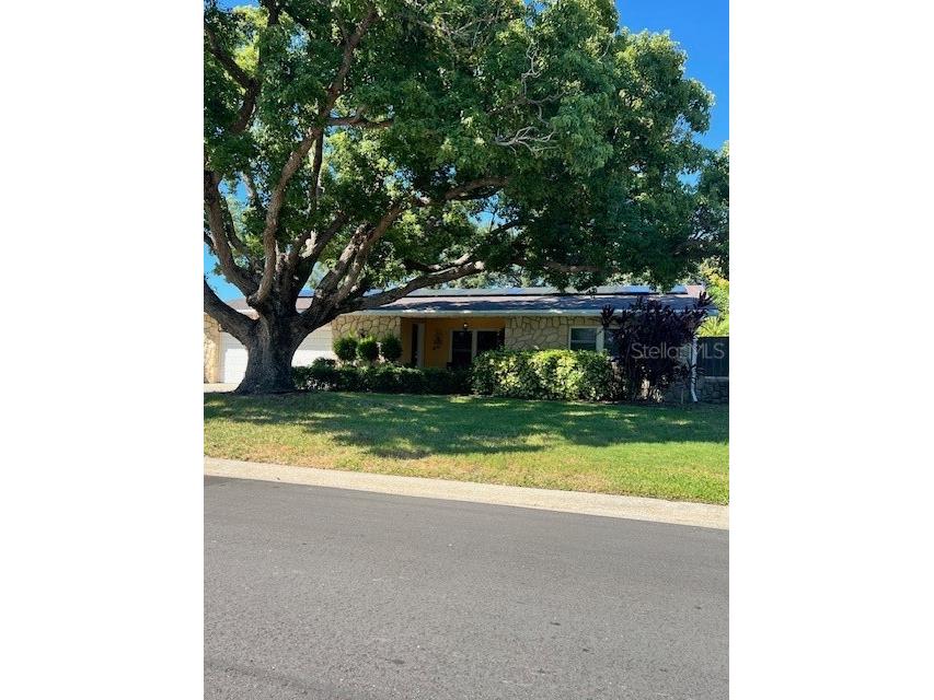 13801 87th Avenue Seminole FL 33776 TB8439099 image1