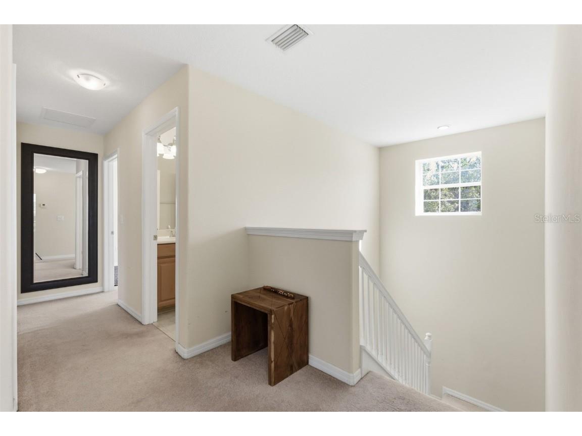 13801 Chalk Hill Place Riverview FL 33579 TB8453494 image19