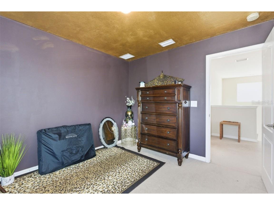 13801 Chalk Hill Place Riverview FL 33579 TB8453494 image20