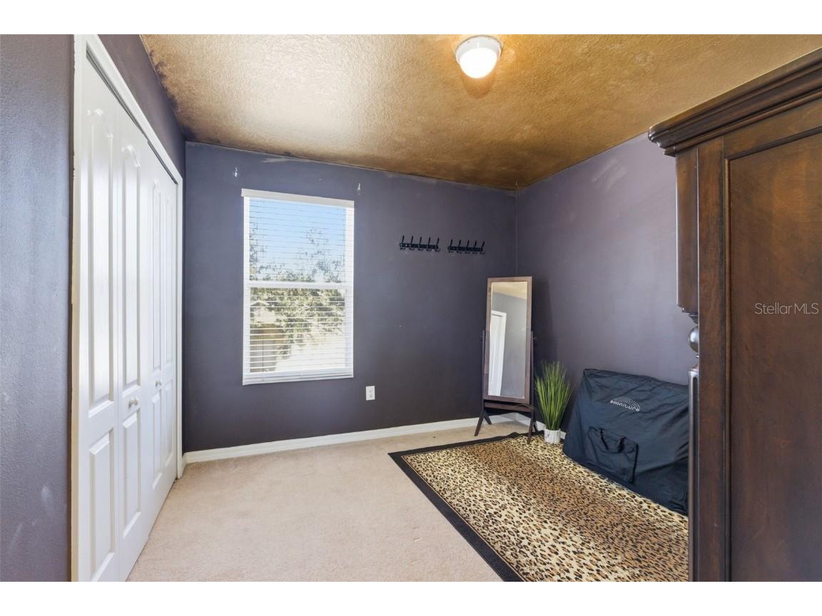 13801 Chalk Hill Place Riverview FL 33579 TB8453494 image21