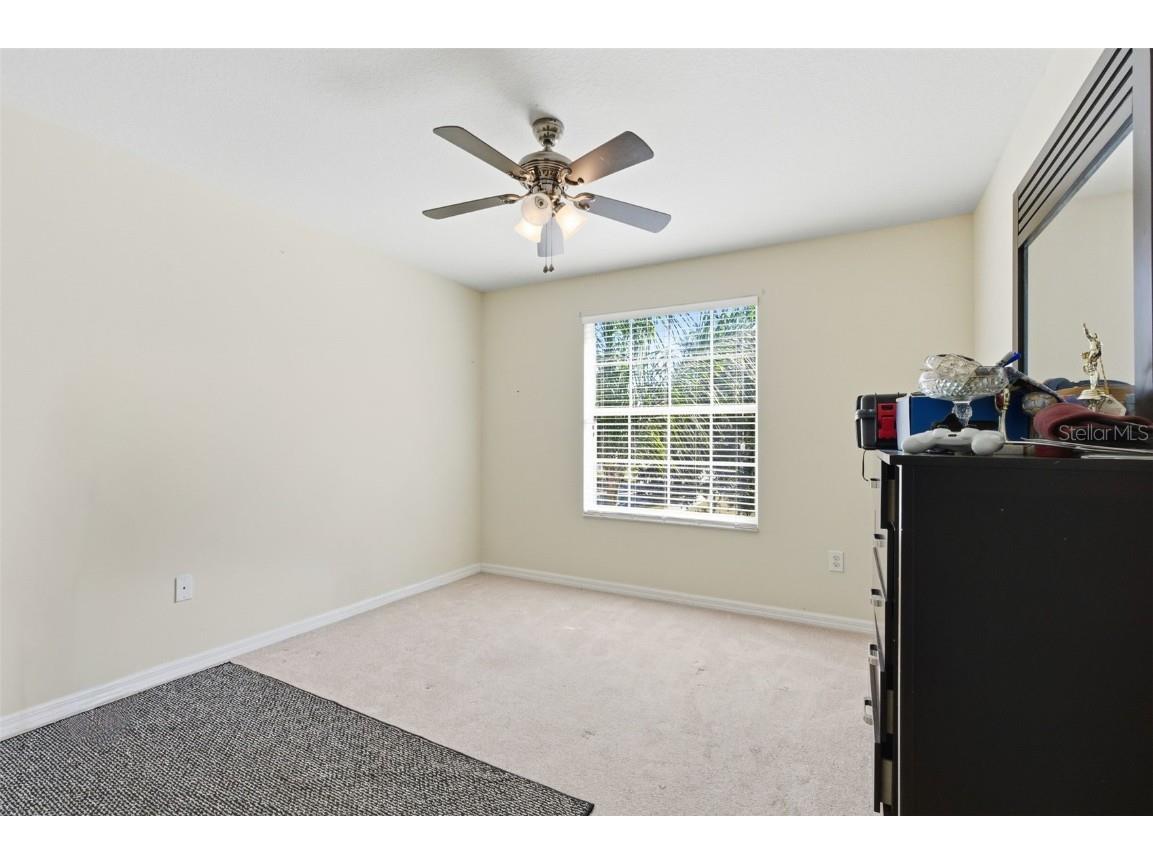 13801 Chalk Hill Place Riverview FL 33579 TB8453494 image25